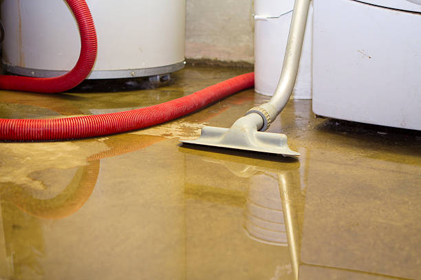 Best Basement water damage restoration  in Akwesasne, NY